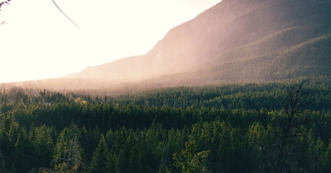 Is Shockwave Therapy Right for You?